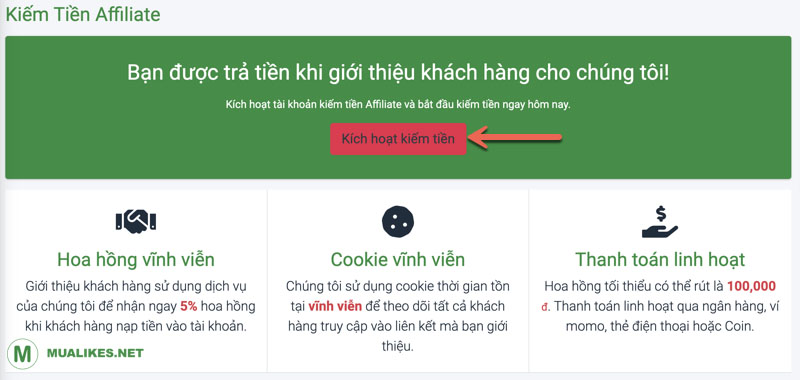 Kích hoạt kiếm tiền