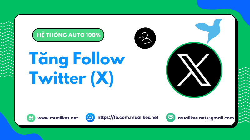 Lợi ích tăng follow Twitter (X)