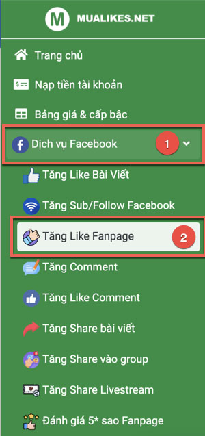 Chọn mục Tăng like Fanpage