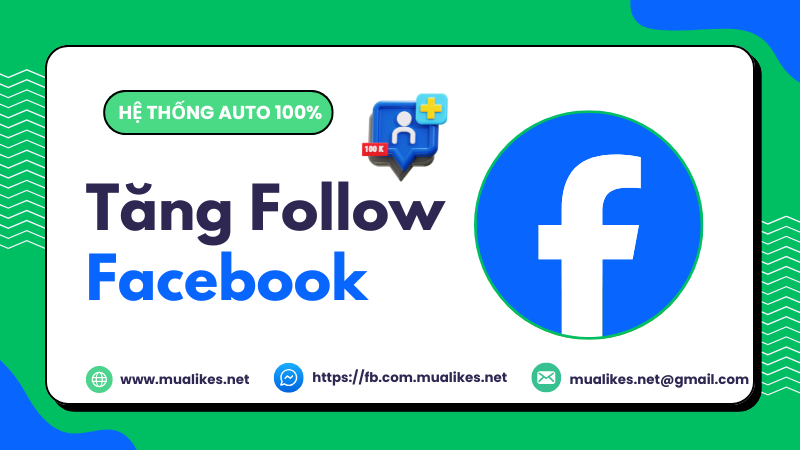 Dịch vụ tăng follow FB chuyên nghiệp giá rẻ