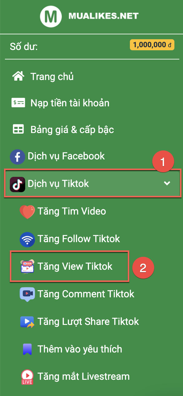 Tăng view tiktok