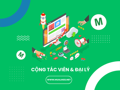 Chính Sách Dành Cho Cộng Tác Viên & Đại Lý Trên MuaLikes.Net