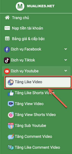 Bắt đầu buff tăng like video