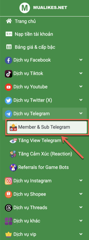 Bắt đầu buff tăng member & sub