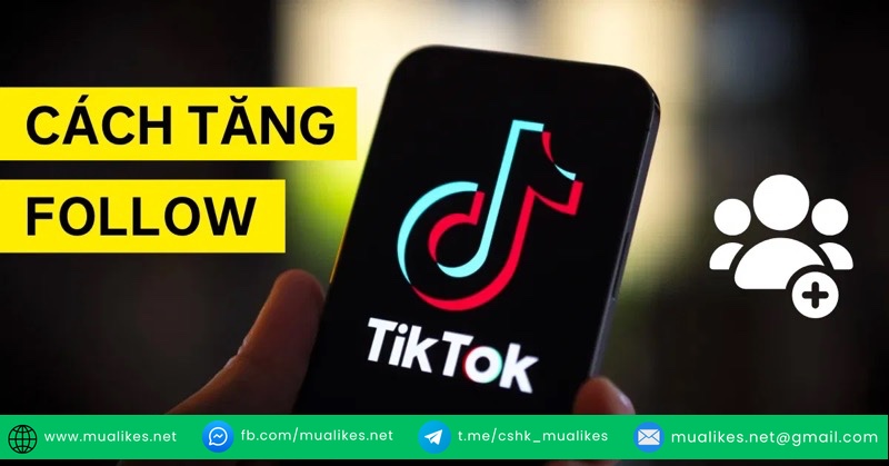 Web tăng follow tiktok miễn phí