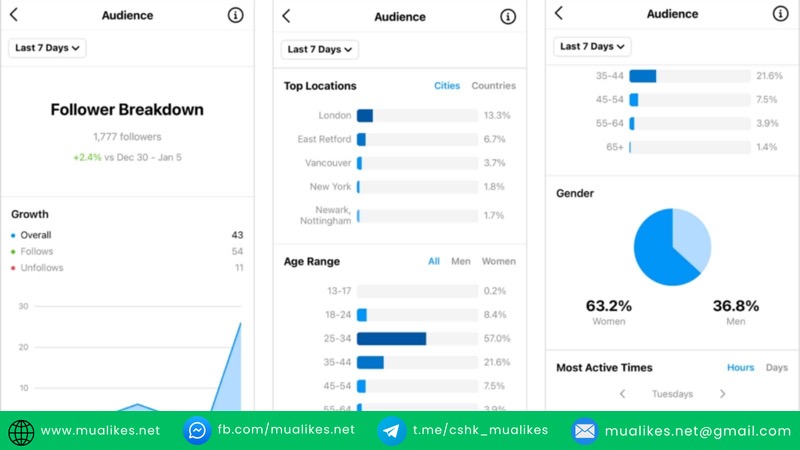 Hướng dẫn chỉ số Instagram Insight