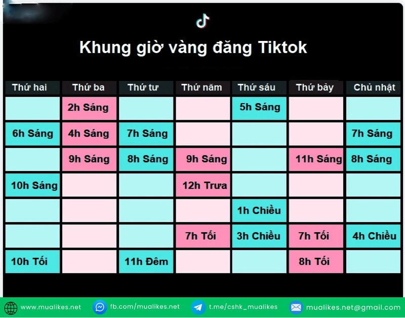 Khung giờ vàng đăng video TikTok