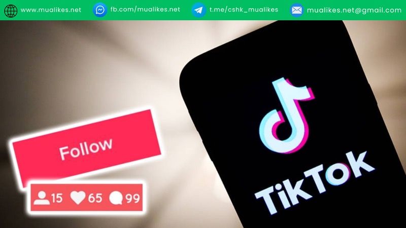 Tầm quan trọng của việc tăng follow TikTok