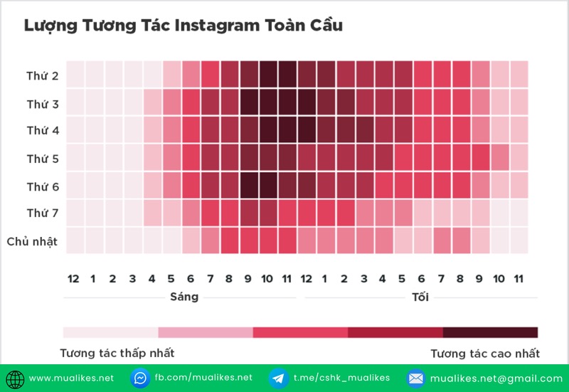 Thời Gian Đăng Bài Lý Tưởng Instagram