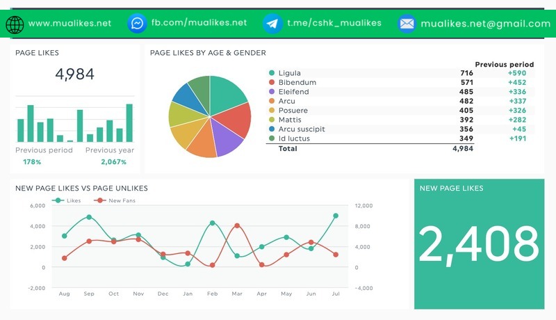 Sử dụng Facebook Insights giúp tối ưu hóa việc kiếm tiền