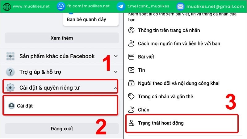 Tắt trạng thái hoạt động và chế độ online