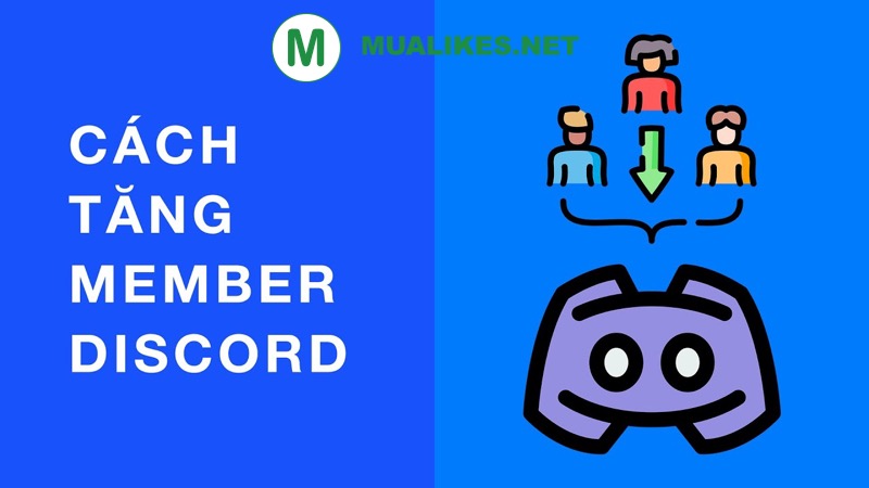 Buff Member Discord Uy Tín
